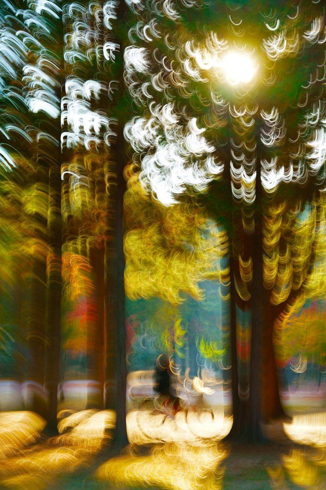 Scenery on a bicycle