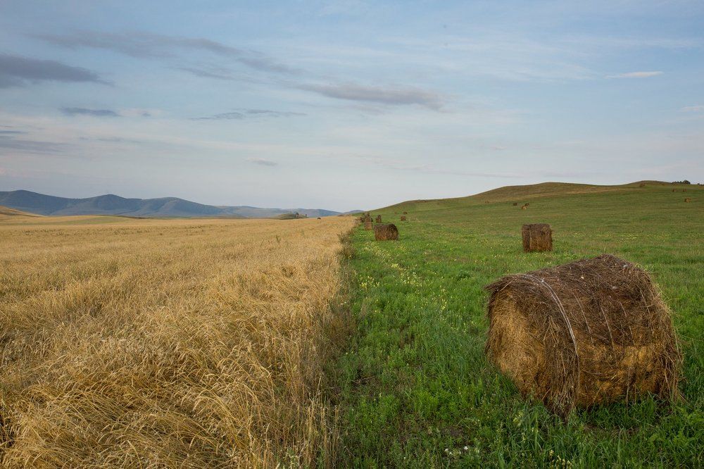 Природный фотошоп