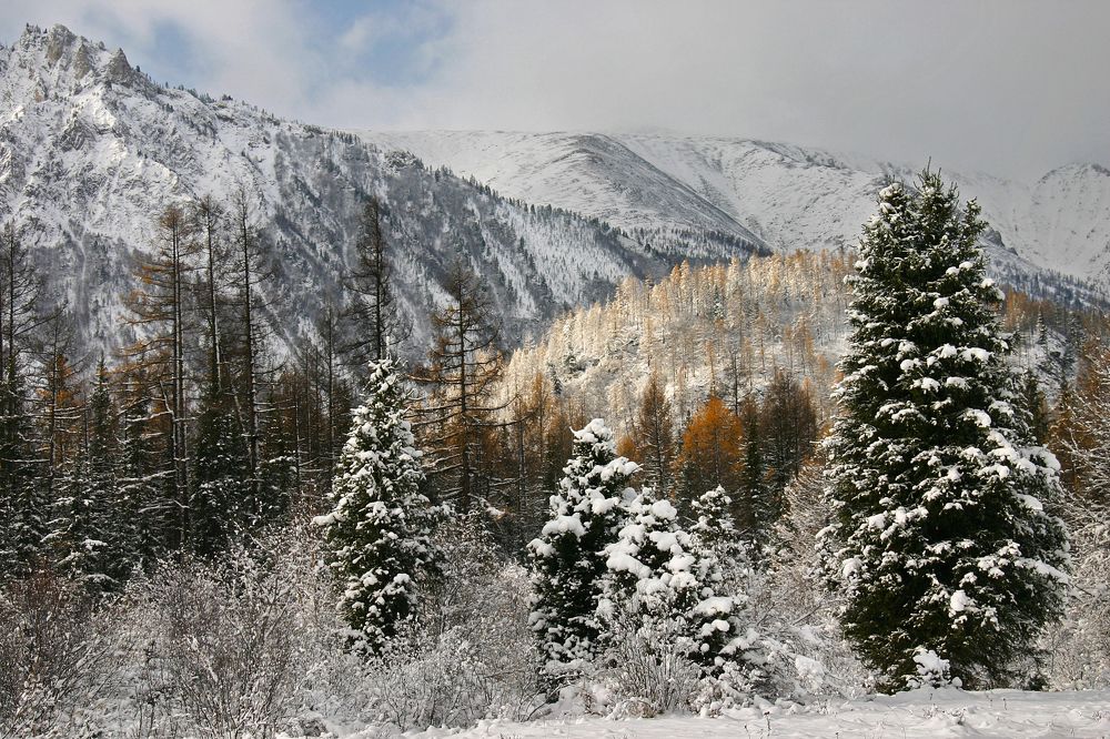 В горах Восточного Саяна.