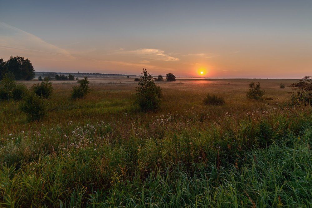 Фотография автора Алексей Ковалев