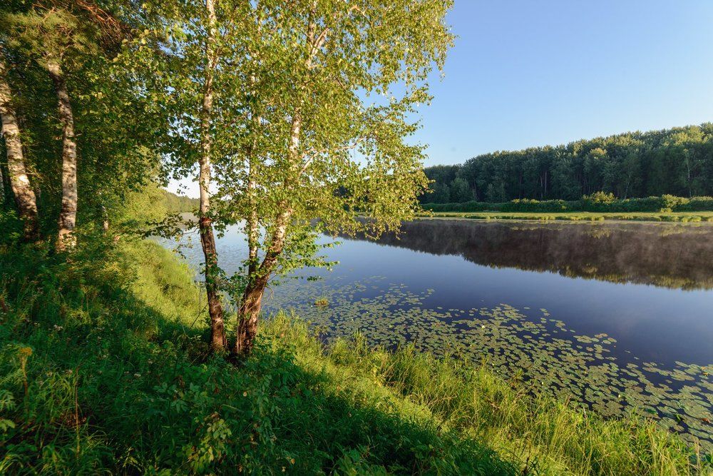 Фотография автора Алексей Ковалев