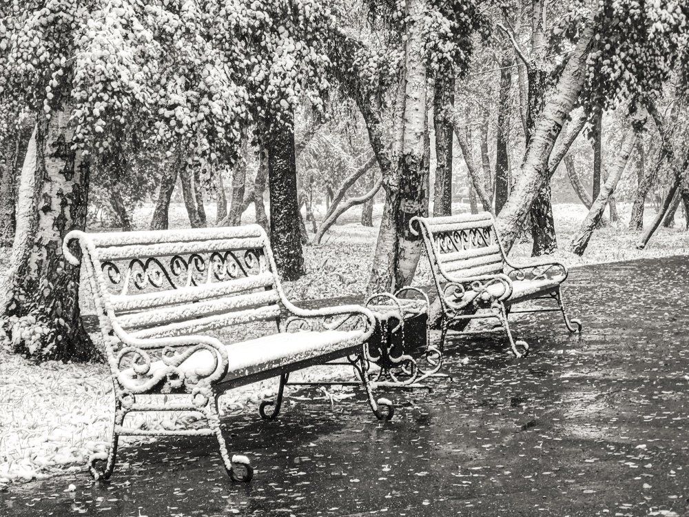 Первый снег...