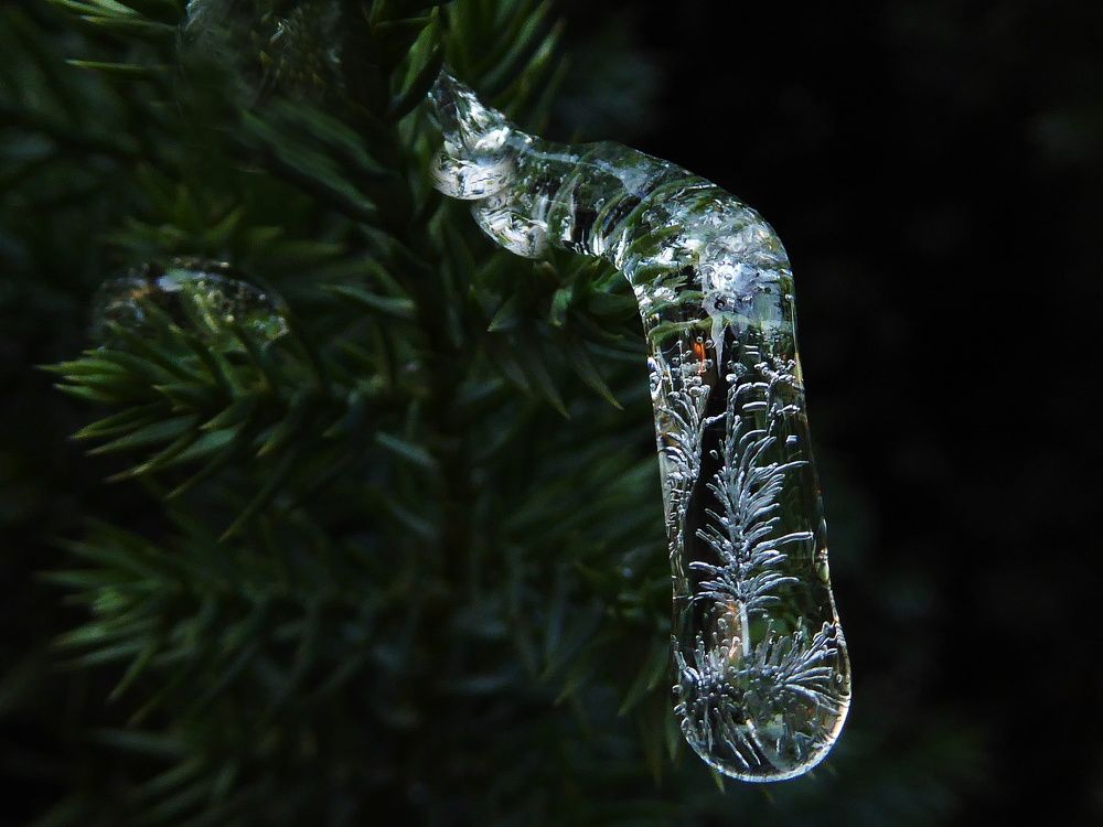 Мартовский сюрприз