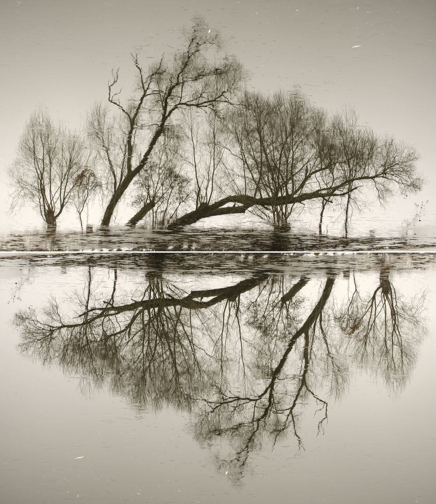 Графическая фантазия