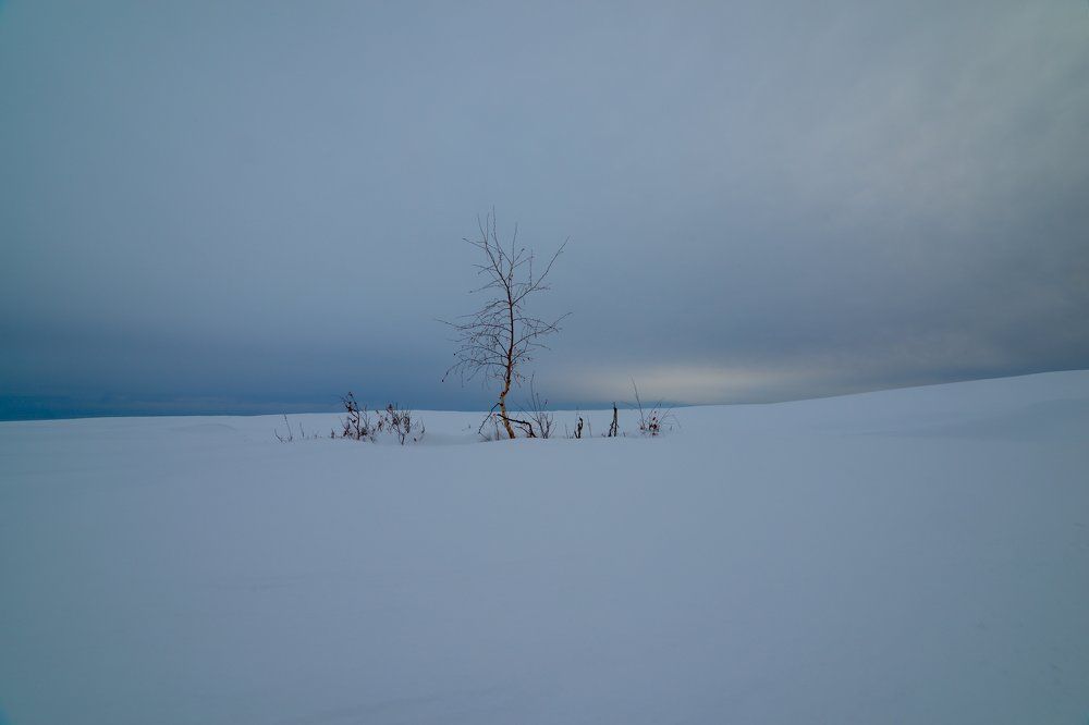 Состояние души