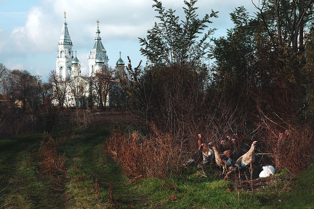 Photograph by Ольга Юсупова