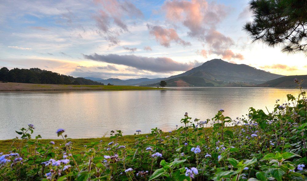 Photograph by Phuot Tran