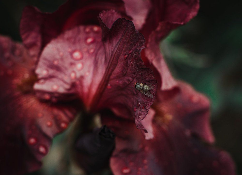 Photograph by Марина