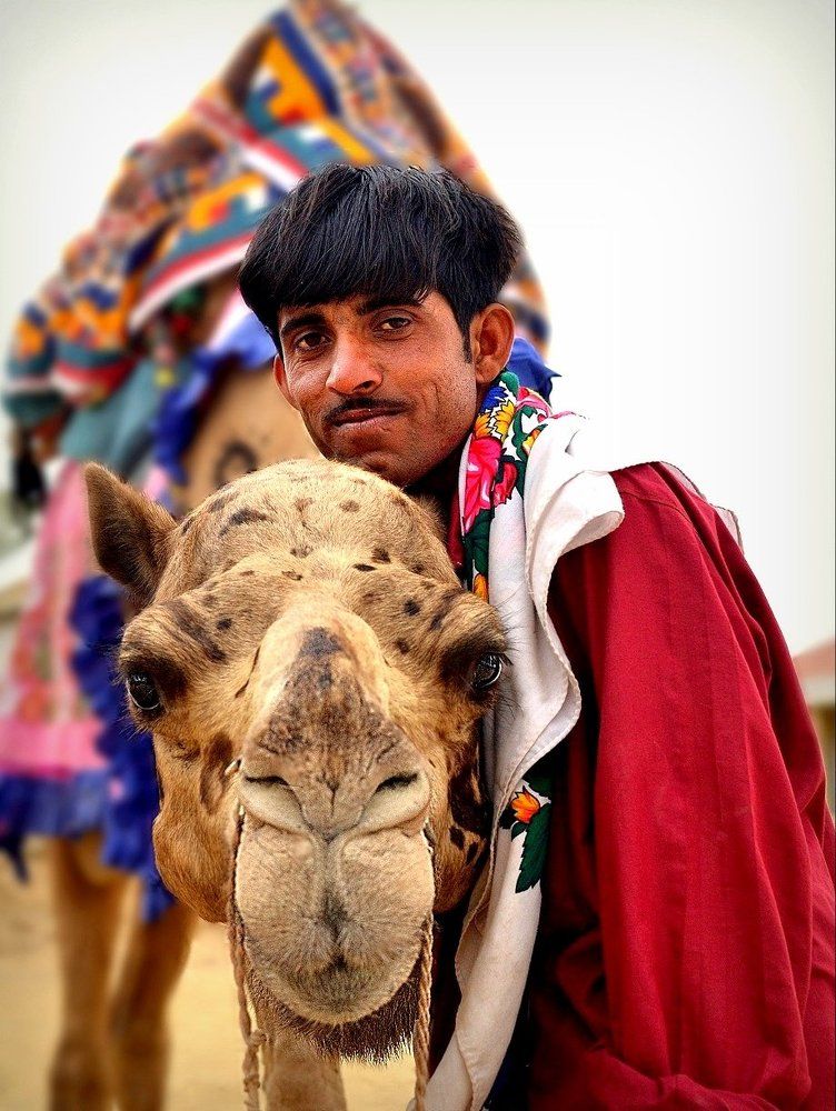 Salman (Camel) with Sharukh (Owner)