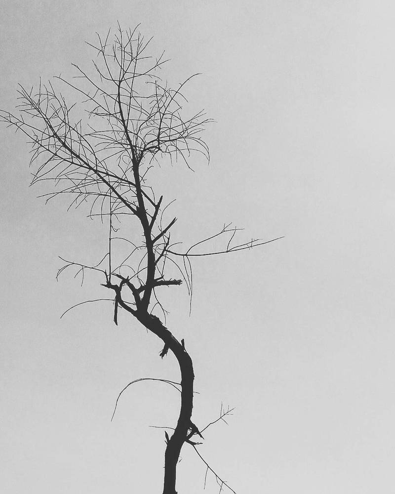 New Beginning