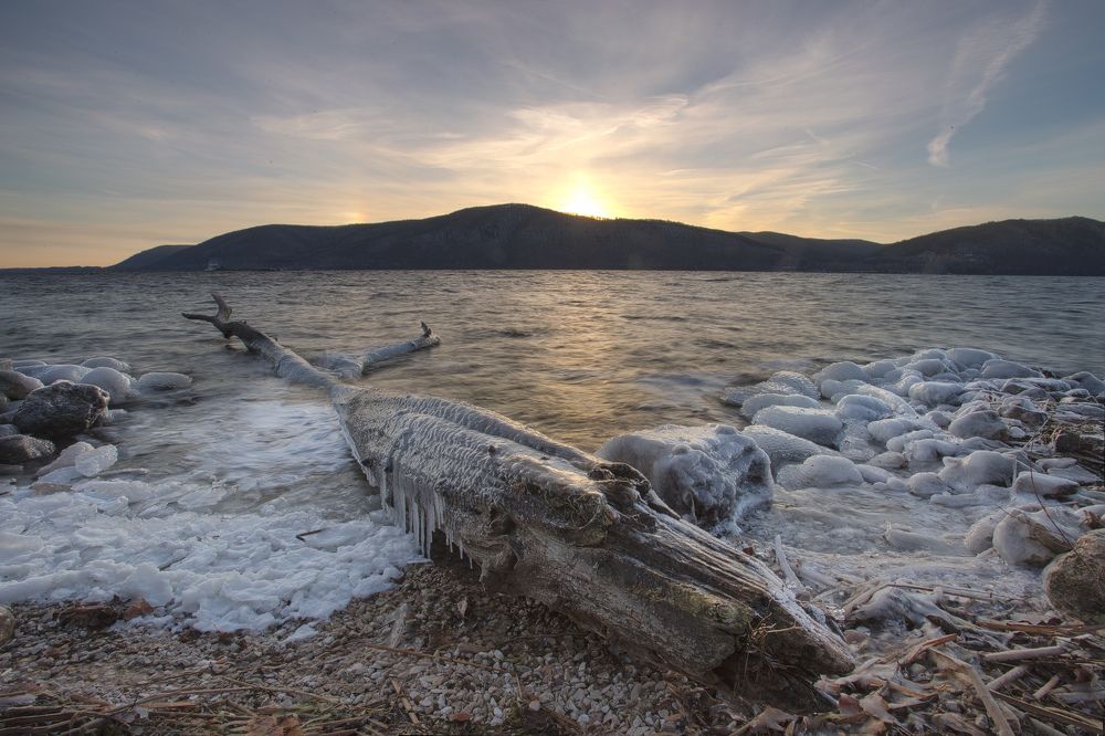 Ледяной крокодил