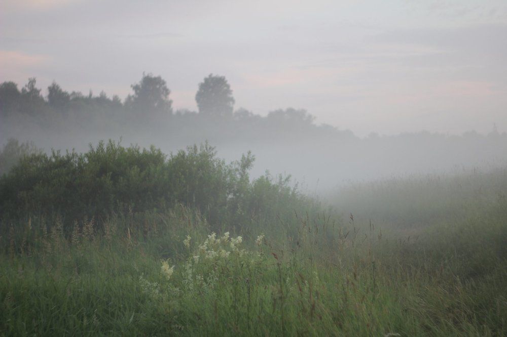 Утренний туман !