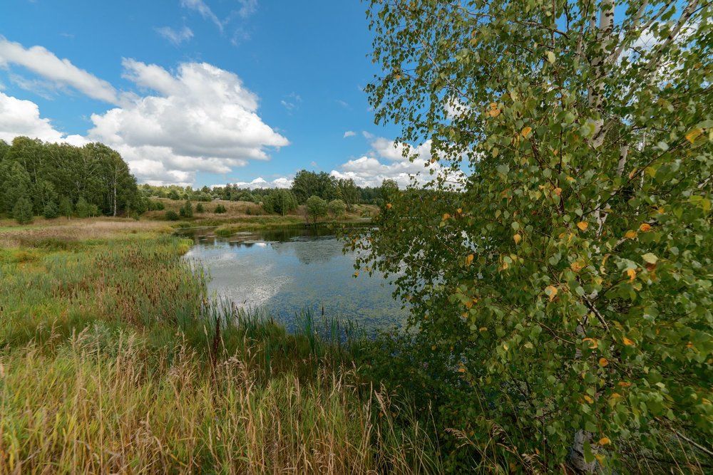 Фотография автора Алексей Ковалев