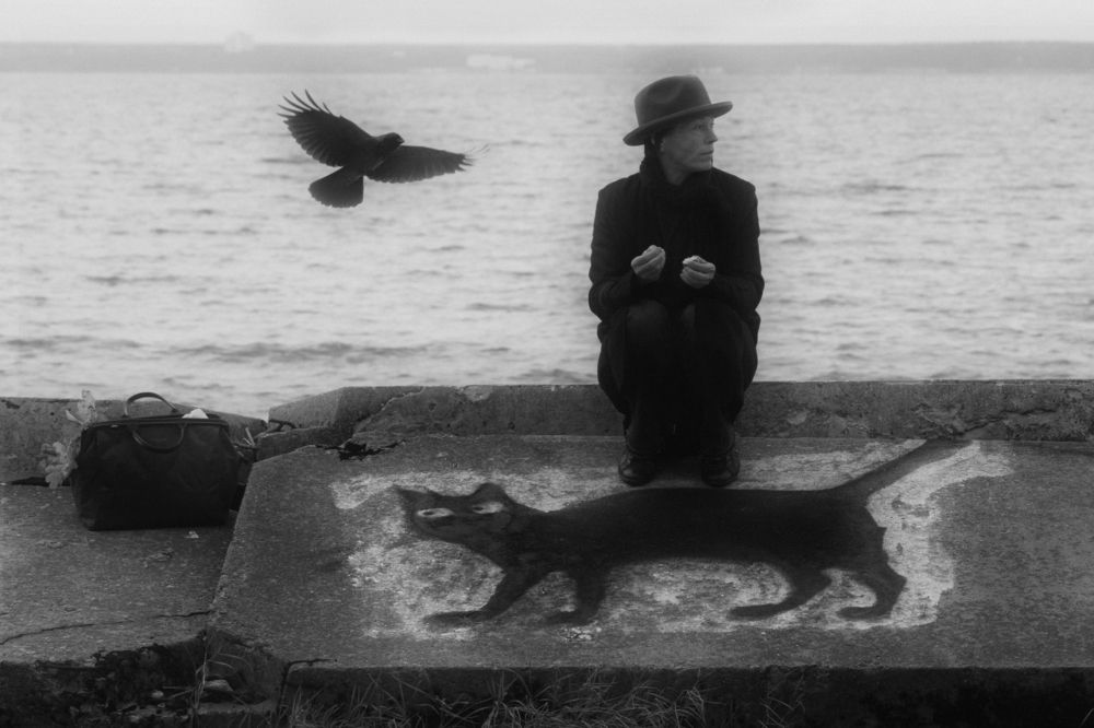 Человек, ворон и кот