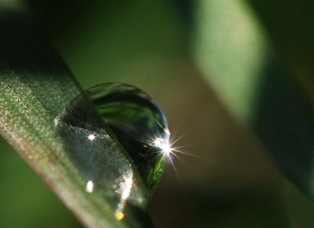 Солнце лучиком играло