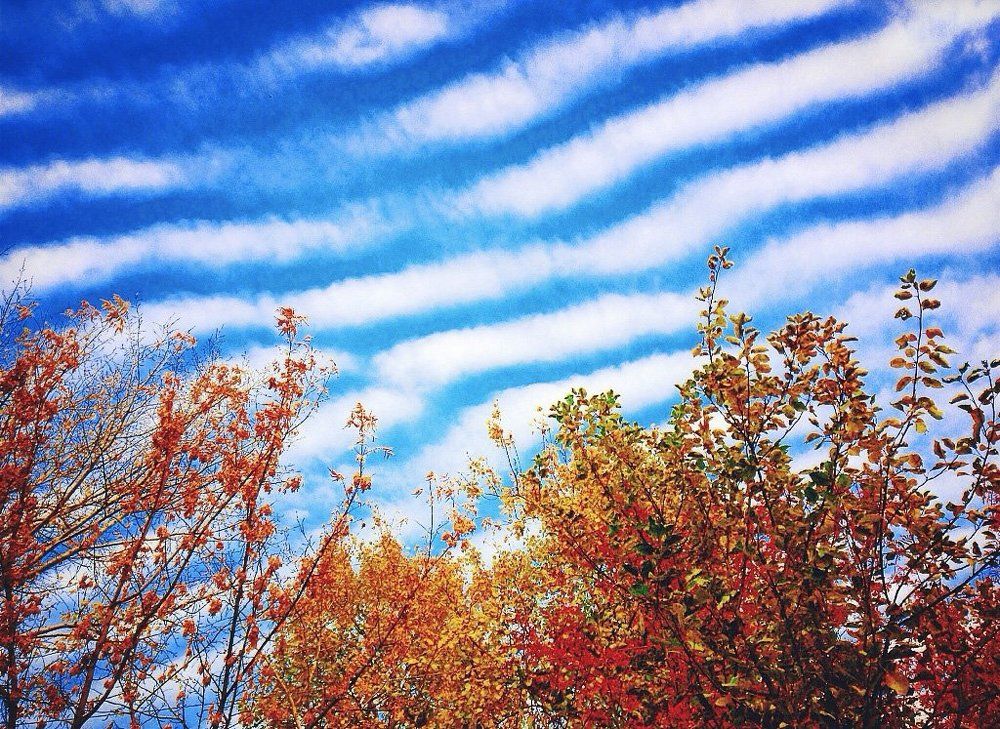 Небо волнуется раз*