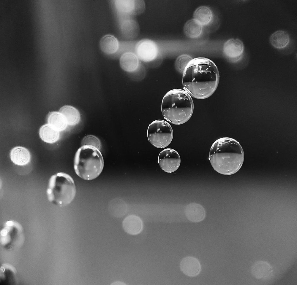 Основы жизни