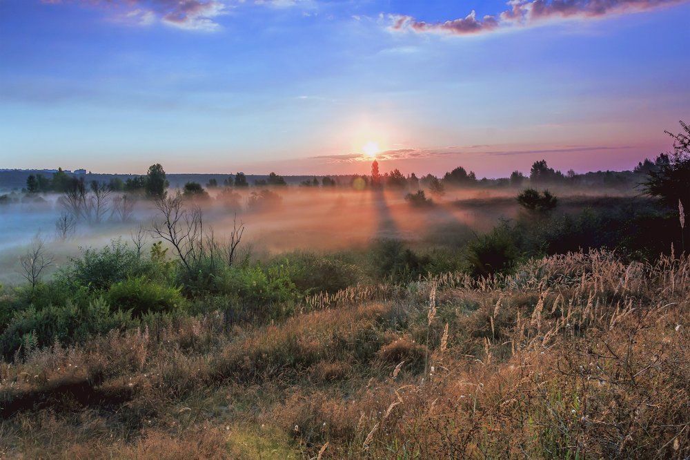 С первыми лучами солнца..