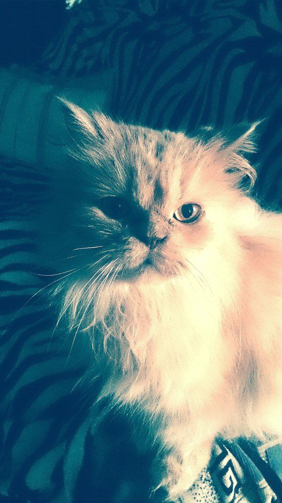 Photograph by Игнат Крошко