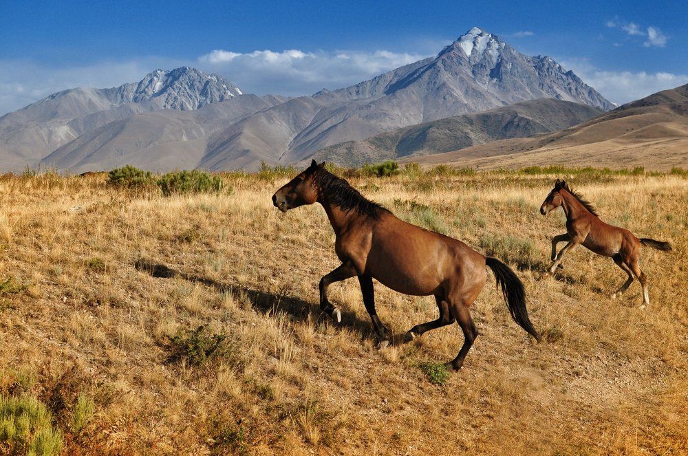 Photograph by Olga  Berngard