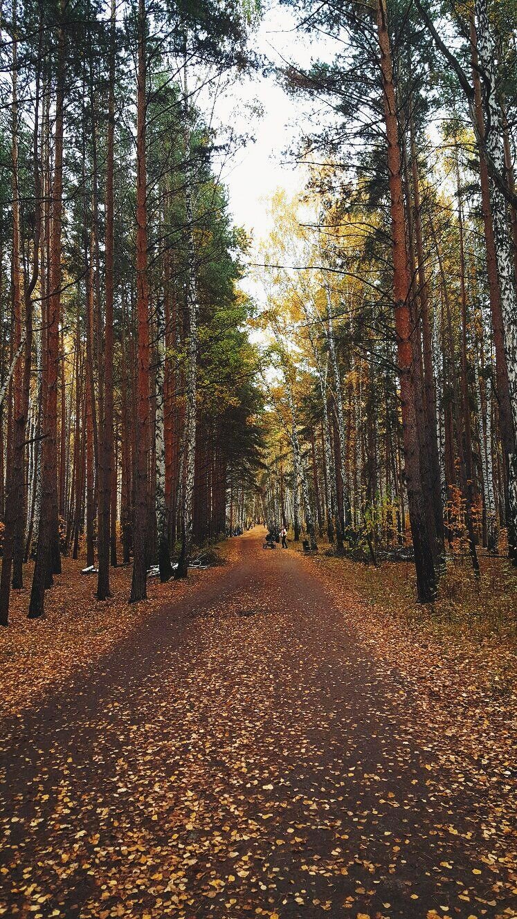 Парк
