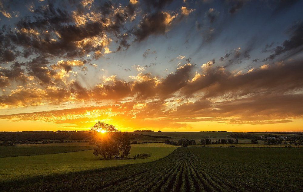 Под занавес заката...