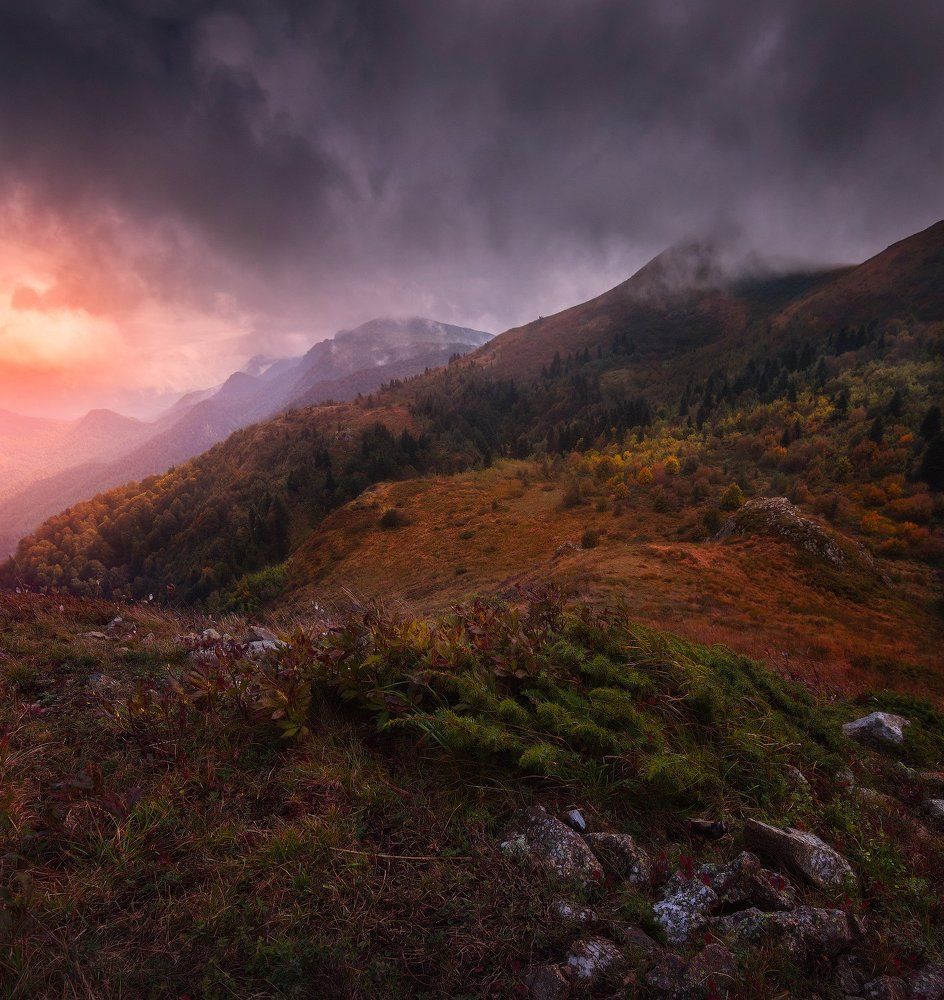 Штормовое предупреждение