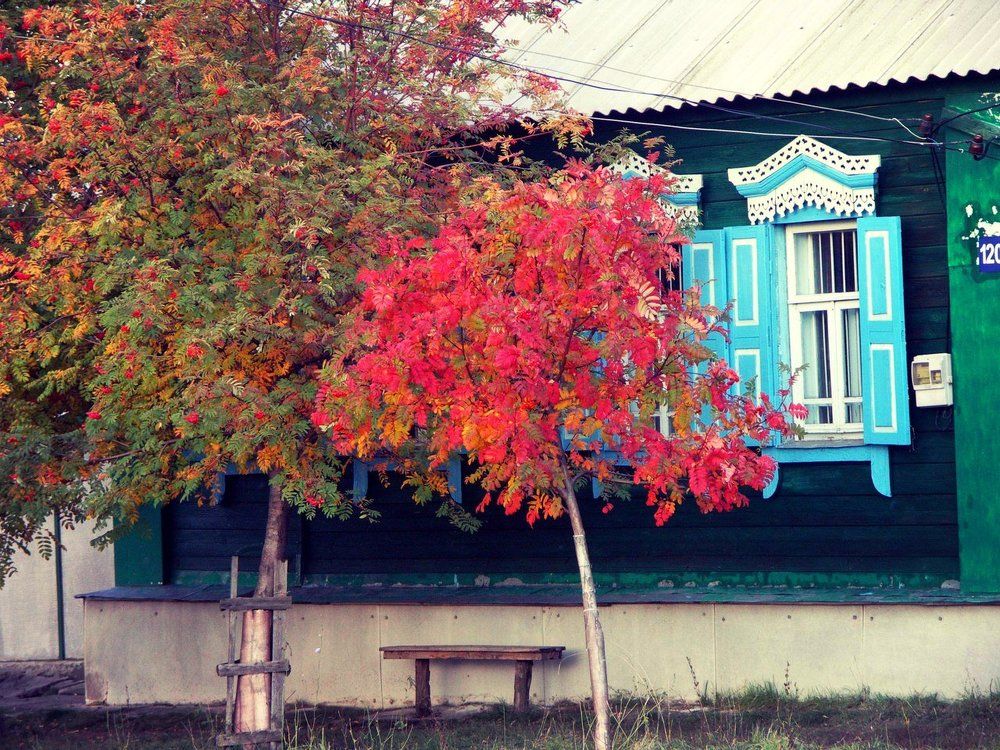 осень пришла