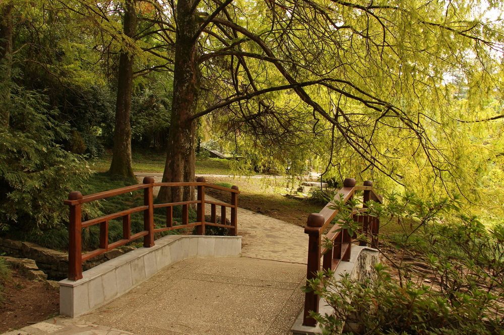 Сочинский дендрарий