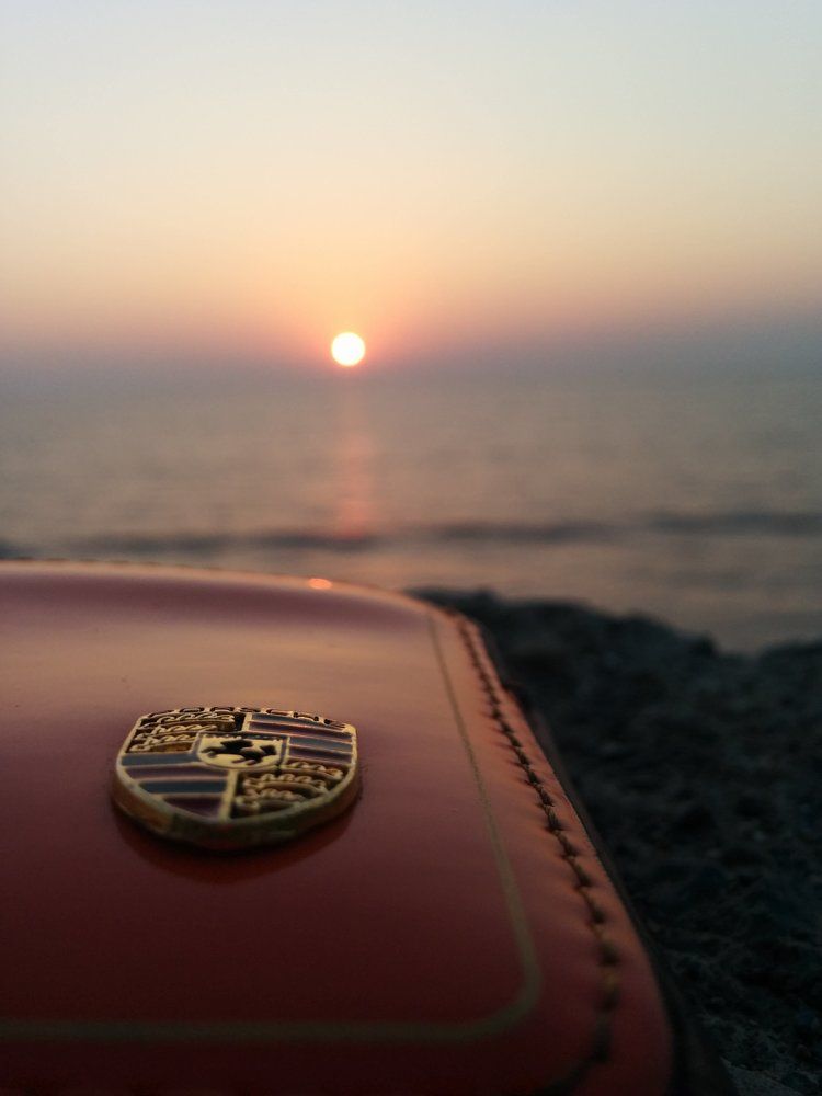 Photo #1536315