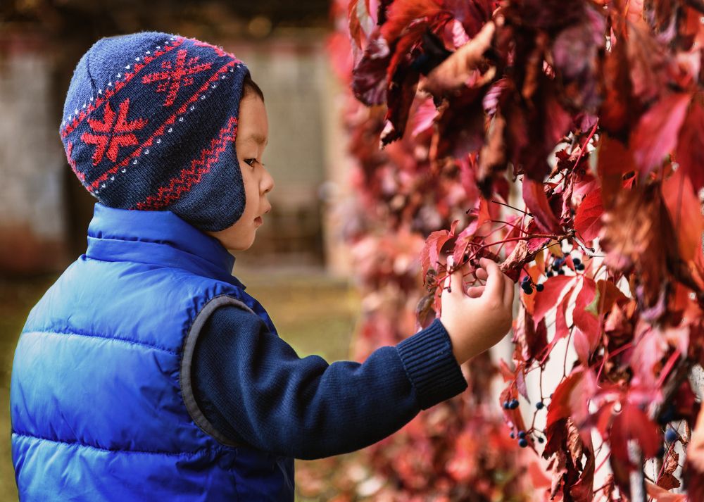 Вот и лето прошло...
