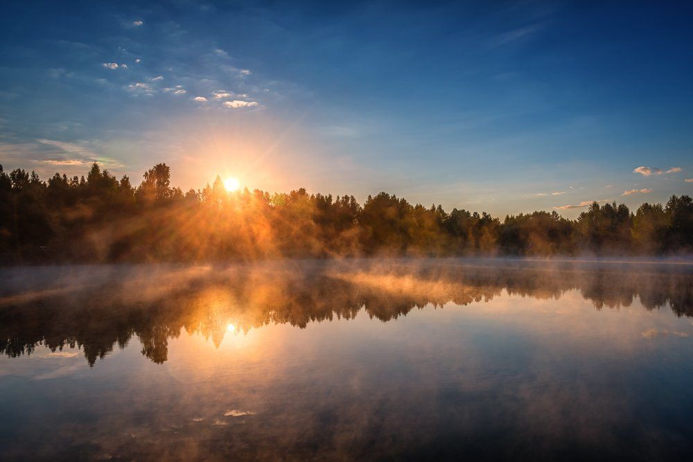 Photograph by Alex Mayer