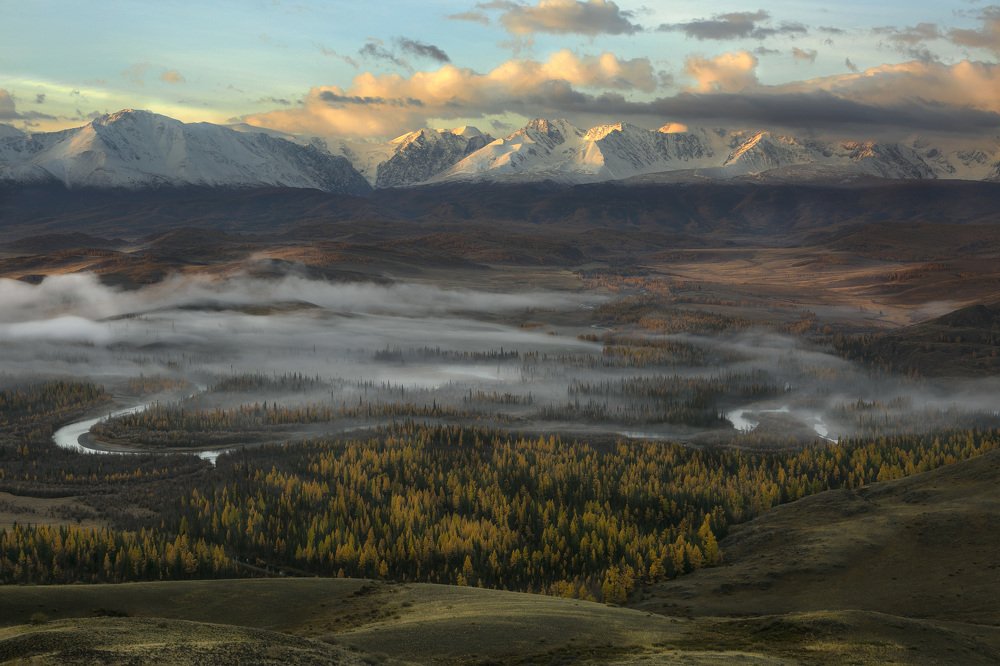 утро в Курайской степи
