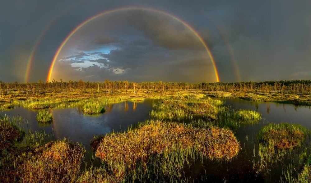 Радуга над болотом.