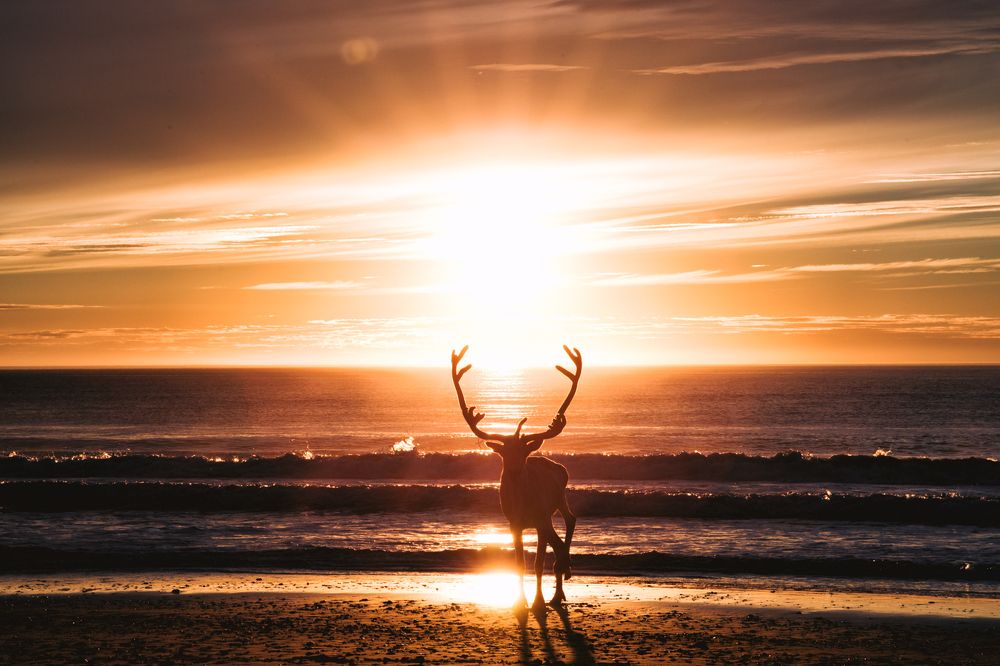 Sunrise on Barents sea