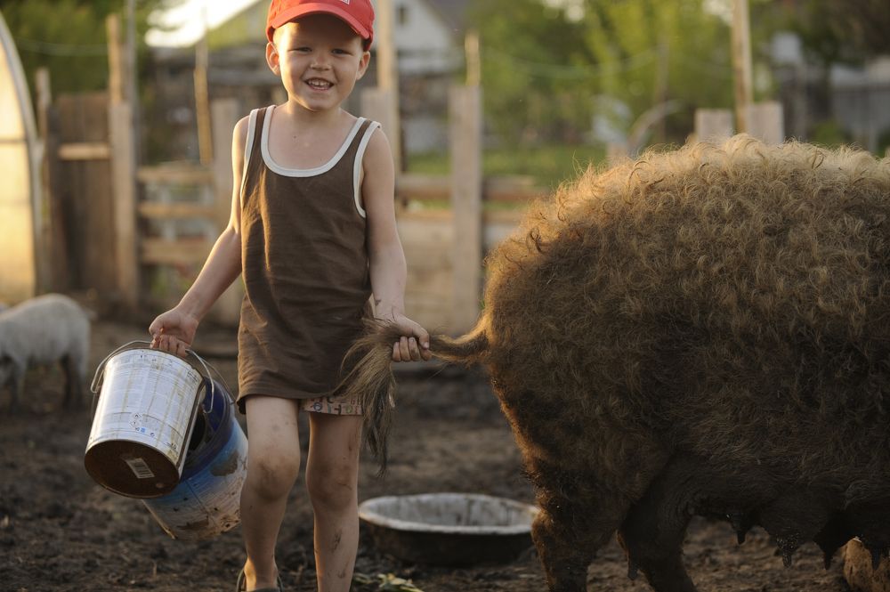Детство в деревне