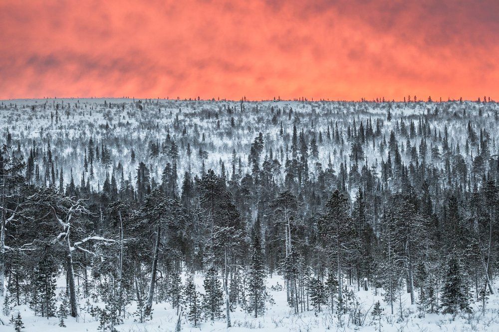 Горящие небеса