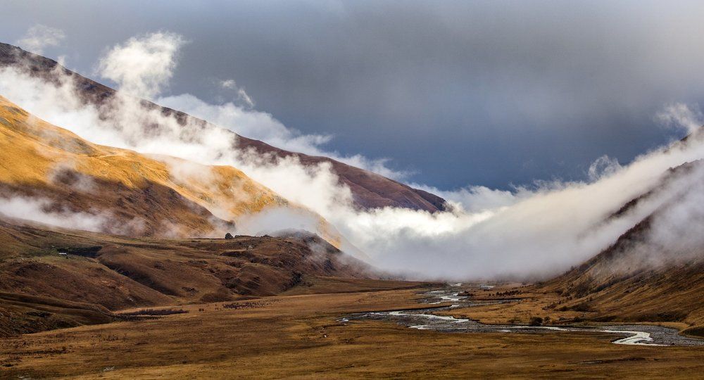 Туман в долине
