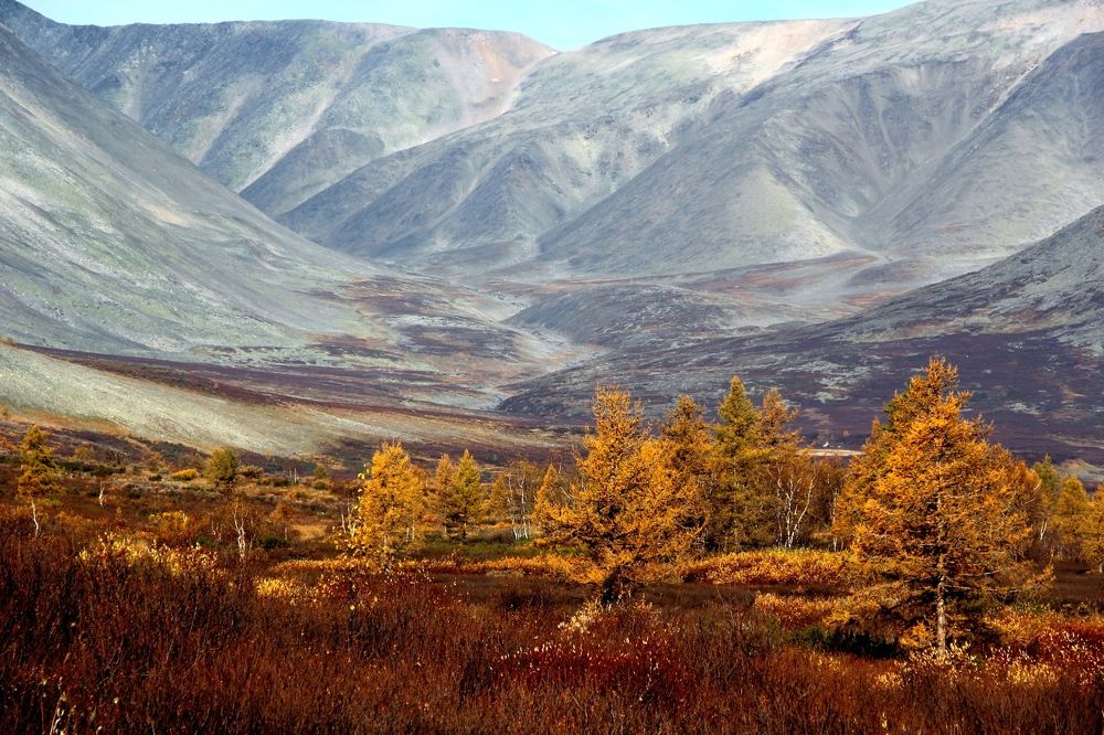 "Если все в город подадутся, кто же в сказке-то жить останется?" (Долина Малой Пайпудыны, Полярный Урал)