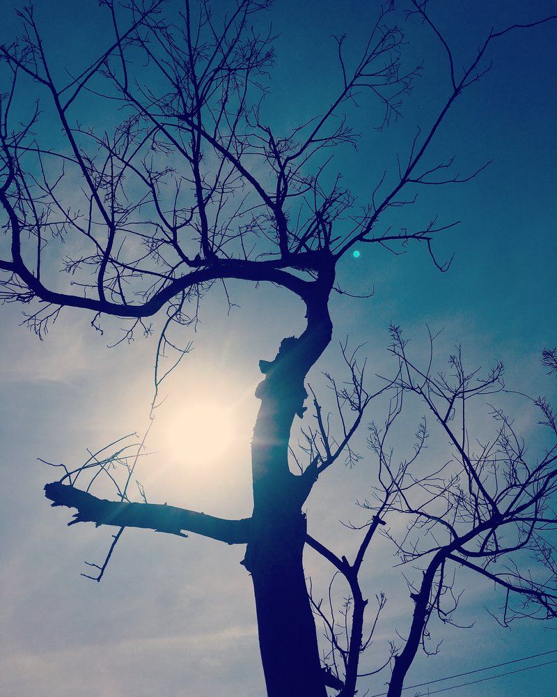 Photograph by Rohit Ramchandra Jadhav