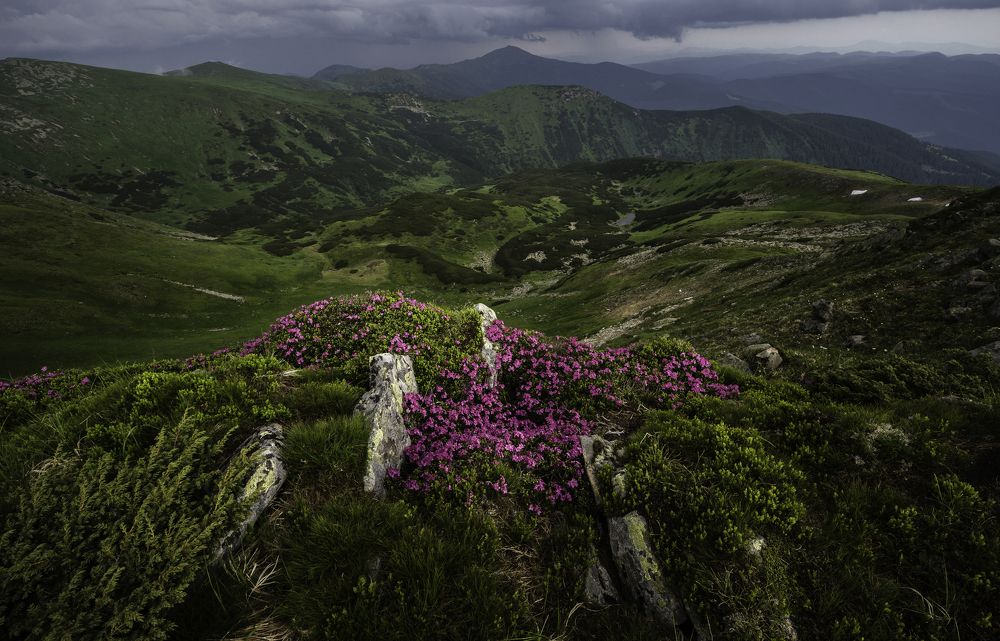 Photograph by Игорь Петрущенков