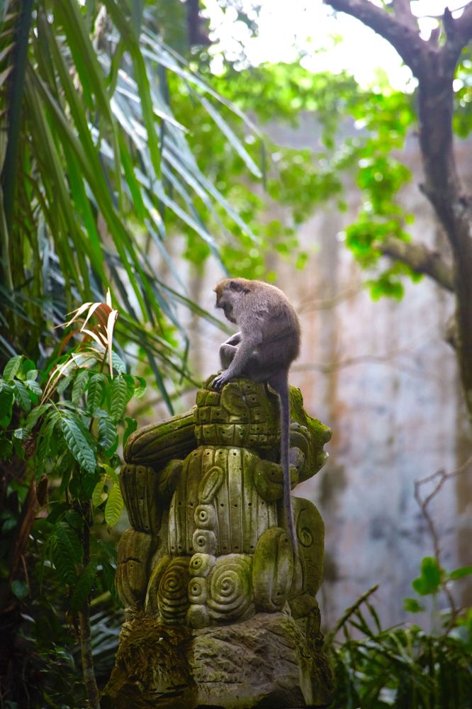 Photograph by С.К.Сазин