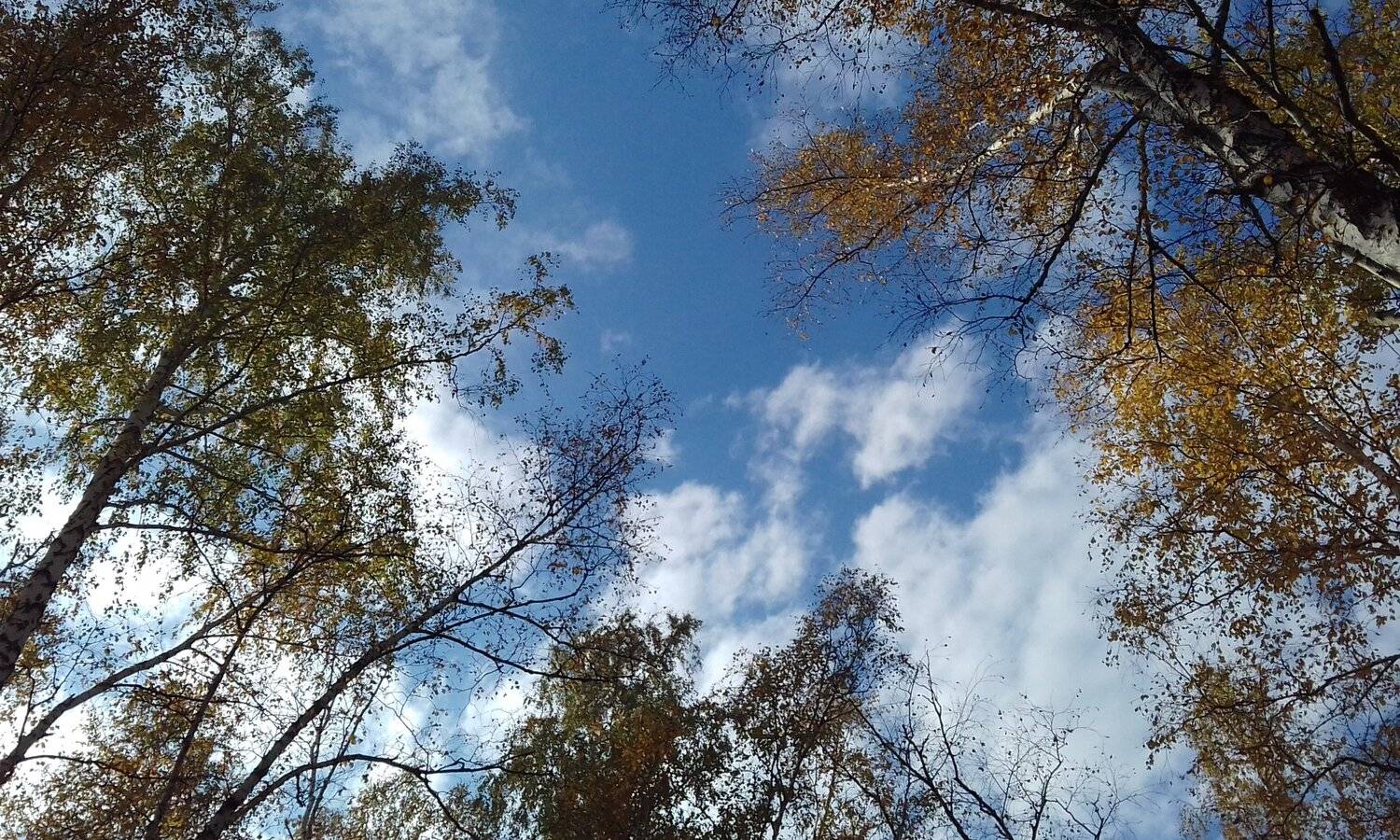 Осеннее небо