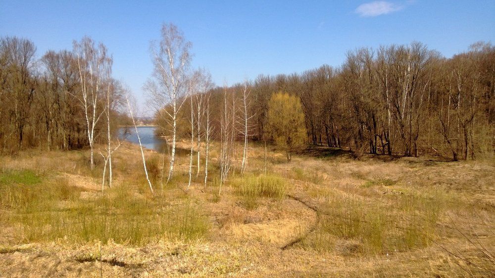 весна приходящая