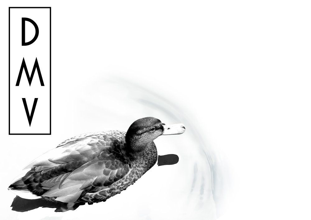 Photograph by Daniil Matveev