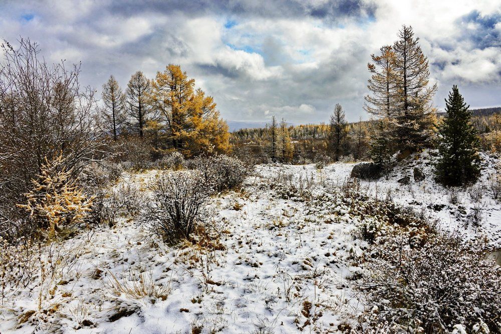 Улаганский перевал