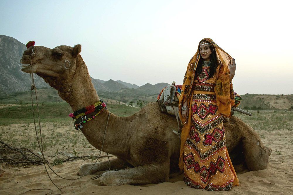 Pushkar Diary