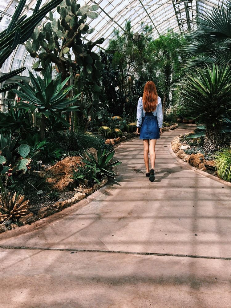 Alice's Adventures in Wonderland