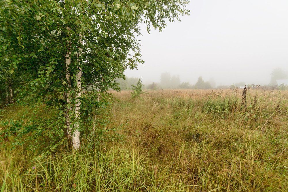 Фотография автора Алексей Ковалев