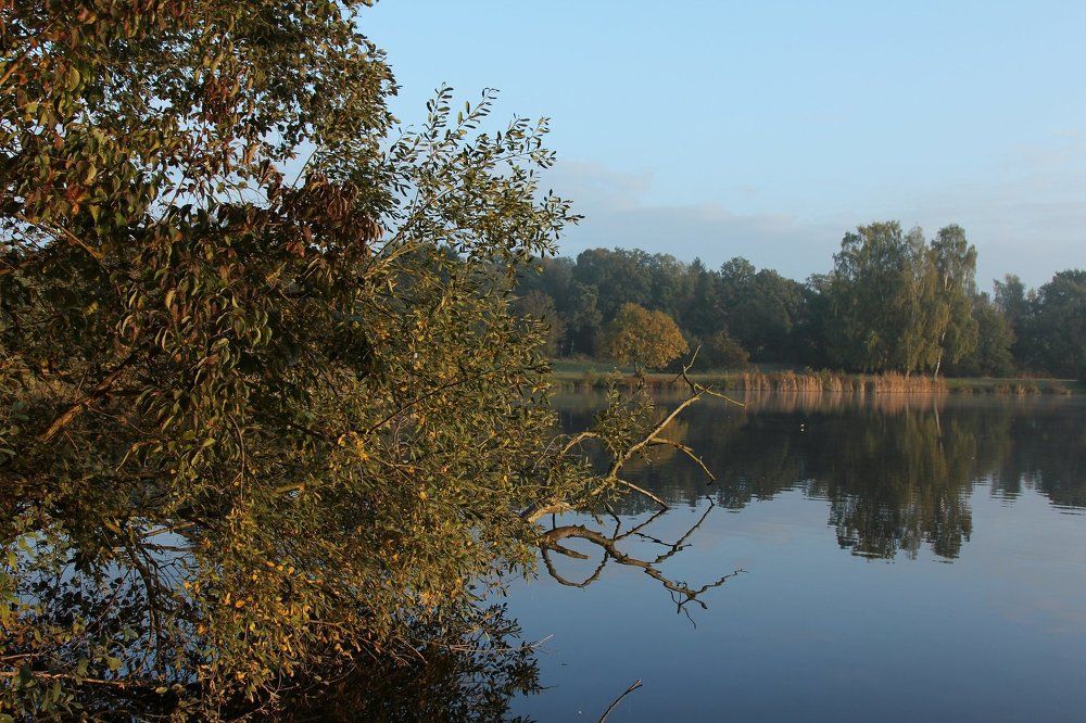 Photograph by Eduard Mezker